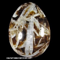 Mineral Specimen: Fluorite, Celestine, Limestone Polished Egg from White Rock Quarry, Clay Center, Ottawa Co, Ohio (Carved/polished in Mexico) Mineral Specimen: Fluorite, Celestine, Limestone Polished Egg from White Rock Quarry, Clay Center, Ottawa Co, Ohio (Carved/polished in Mexico)