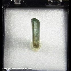 Mineral Specimen: Gemmy Tourmaline Crystal from Mount Apatite, Auburn, Androscoggin Co., Maine Mineral Specimen: Gemmy Tourmaline Crystal from Mount Apatite, Auburn, Androscoggin Co., Maine