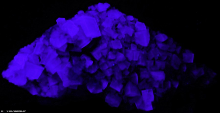 Fluorescent Mineral Specimen: Fluorite from Hilton Mine, Scordale, Murton, Eden, Cumbria, England