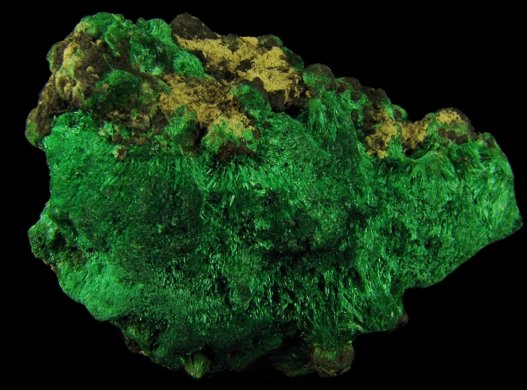 Mineral Specimen: Malachite from Copper Queen Mine, Queen Hill, Bisbee, Warren District, Mule Mts, Cochise Co., Arizona, USA