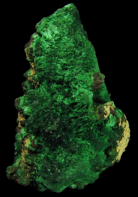 Mineral Specimen: Malachite from Copper Queen Mine, Queen Hill, Bisbee, Warren District, Mule Mts, Cochise Co., Arizona, USA
