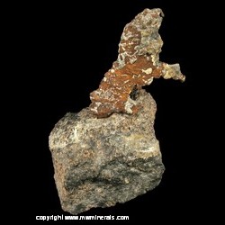 Mineral Specimen: Copper on Felsic Rock from Mine Dumps of Copper Falls Mine, SE of Eagle Harbor, Keweenaw Co., Michigan