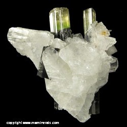 Mineral Specimen: Tourmaline (Elbaite), Albite from Stak Nala, Haramosh Mts., Skardu District, Baltistan, Gilgit-Baltistan, Pakistan Mineral Specimen: Tourmaline (Elbaite), Albite from Stak Nala, Haramosh Mts., Skardu District, Baltistan, Gilgit-Baltistan, Pakistan