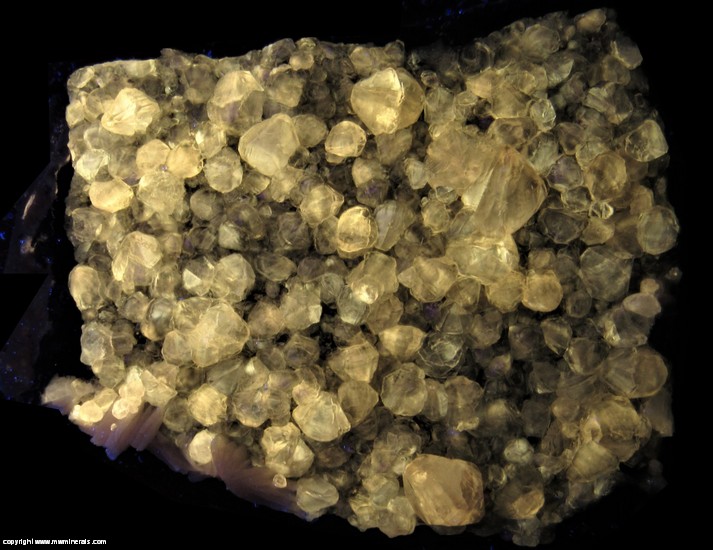 Fluorescent Mineral Specimen: Cerussite, Barite, Galena, Manganese Oxides from Mibladen, Morocco Fluorescent Mineral Specimen: Cerussite, Barite, Galena, Manganese Oxides from Mibladen, Morocco
