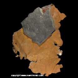 Mineral Specimen: Sheet Copper with Attached Nonesuch Shale from White Pine Mine, White Pine, Ontonagon Co., Michigan