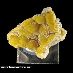 Minerals Specimen: Smithsonite variety: Turkey Fat from Morning Star Mine, Rush Creek, Marion Co., Arkansas