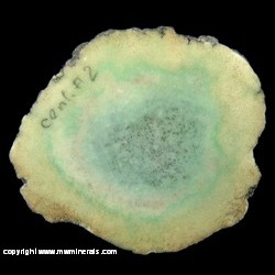 Mineral Specimen: Datolite Nodule with Included Copper from No. 2 Shaft, Centennial, Centennial Heights, Houghton Co., Michigan Mineral Specimen: Datolite Nodule with Included Copper from No. 2 Shaft, Centennial, Centennial Heights, Houghton Co., Michigan