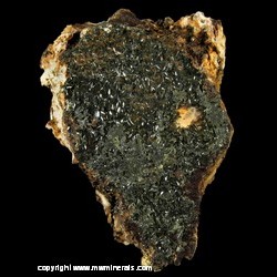 Minerals Specimen: Olivenite from Copper Stope, Majuba Hill Mine, Pershing Co., Nevada