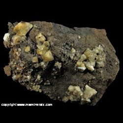 Mineral Specimen: Wardite from Rapid Creek, Dawson Mining District, Yukon, Canada