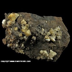 Minerals Specimen: Wardite from Rapid Creek, Dawson Mining District, Yukon, Canada Minerals Specimen: Wardite from Rapid Creek, Dawson Mining District, Yukon, Canada