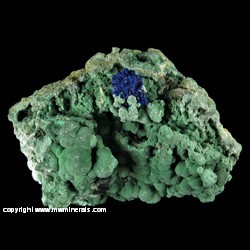 Mineral Specimen: Azurite on Malachite from Bisbee, Warren District, Mule Mts, Cochise Co., Arizona