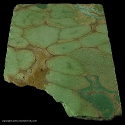Minerals Specimen: Variscite from Fairfield, Oquirrh Mts, Utah Co., Utah, USA Minerals Specimen: Variscite from Fairfield, Oquirrh Mts, Utah Co., Utah, USA