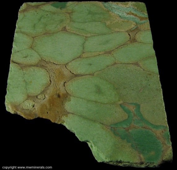 Mineral Specimen: Variscite from Fairfield, Oquirrh Mts, Utah Co., Utah, USA