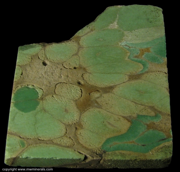 Mineral Specimen: Variscite from Fairfield, Oquirrh Mts, Utah Co., Utah, USA