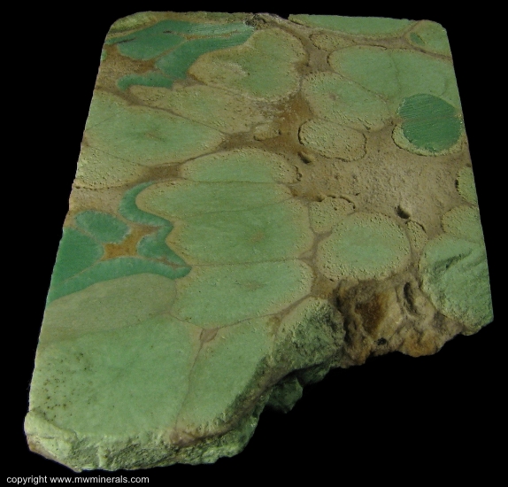 Mineral Specimen: Variscite from Fairfield, Oquirrh Mts, Utah Co., Utah, USA