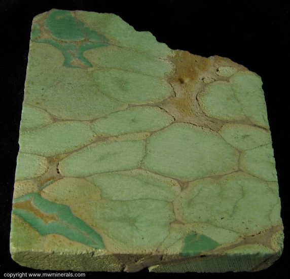 Mineral Specimen: Variscite from Fairfield, Oquirrh Mts, Utah Co., Utah, USA