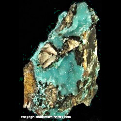 Mineral Specimen: Smithsonite from Kelly Mine, Magdalena, Socorro Co., New Mexico Mineral Specimen: Smithsonite from Kelly Mine, Magdalena, Socorro Co., New Mexico