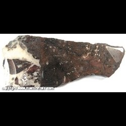 Mineral Specimen: Mohawkite and Quartz in Metamorphosed Basalt (Epoxy coated) from Akmeek Mine, Ahmeek, Keweenaw Co., Michigan