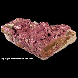 Minerals Specimen: Erythrite from Mt. Cobalt Mine, Mt. Isa, Queensland, Australia