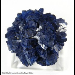 Mineral Specimen: Azurite Rosette of Tabular Crystals from Shilu Mine, Yangchun Co., Yangjiang, Guangdong, China