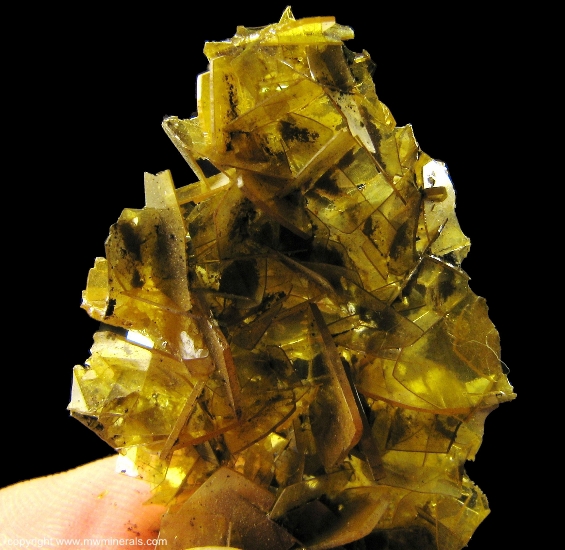 Mineral Specimen: Wulfenite from Defiance Mine, Gleeson, Dragoon Mts, Cochise Co., Arizona, USA