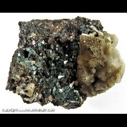 Mineral Specimen: Ancylite-(Ce), Chlorite, Pyrite, Calcite, Ilmenite from Prefeitura quarry, Pocos de Caldas, Pocos de Caldas alkaline complex, Minas Gerais, Brazil Mineral Specimen: Ancylite-(Ce), Chlorite, Pyrite, Calcite, Ilmenite from Prefeitura quarry, Pocos de Caldas, Pocos de Caldas alkaline complex, Minas Gerais, Brazil
