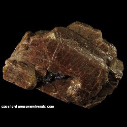 Minerals Specimen: Fluorapatite with Fluorite and Casts after Fluorite from Cardiff Twp., Haliburton Co., Ontario, Canada Minerals Specimen: Fluorapatite with Fluorite and Casts after Fluorite from Cardiff Twp., Haliburton Co., Ontario, Canada