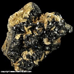 Mineral Specimen: Siderite, Sphalerite variety: Marmatite from Eagle Mine, Gilman, Eagle Co., Colorado
