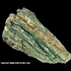 Mineral Specimen: Green Petrified Wood from Petrified Forest near  Holbrock, Navajo Co., Arizona likely Upper Chinle Formation of Macklepring Wash