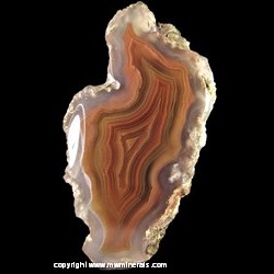 Mineral Specimen: Laguna Agate from Ojo Laguna, Estacion de Ojo Laguna, Mun. de Ahumada, Chihuahua, Mexico Mineral Specimen: Laguna Agate from Ojo Laguna, Estacion de Ojo Laguna, Mun. de Ahumada, Chihuahua, Mexico