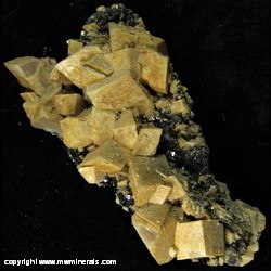 Minerals Specimen: Ankerite/Dolomite, Sphalerite variety: Marmite, Pyrite, Galanea from Eagle Mine, Gilman, Eagle Co., Colorado