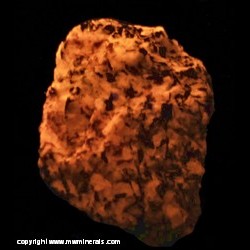 Mineral Specimen: Sodalite variety Hackmanite from Ilimaussaq complex, Kujalleq, Greenland