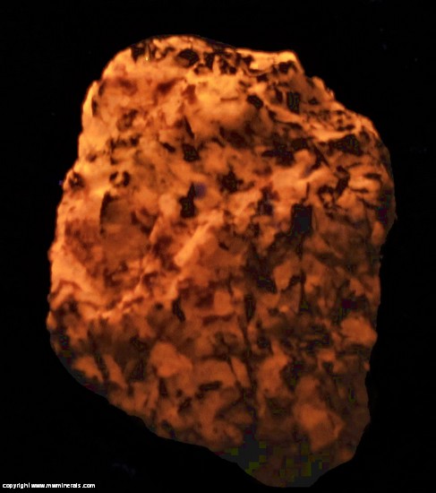 Fluorescent Mineral Specimen: Sodalite variety Hackmanite from Ilimaussaq complex, Kujalleq, Greenland