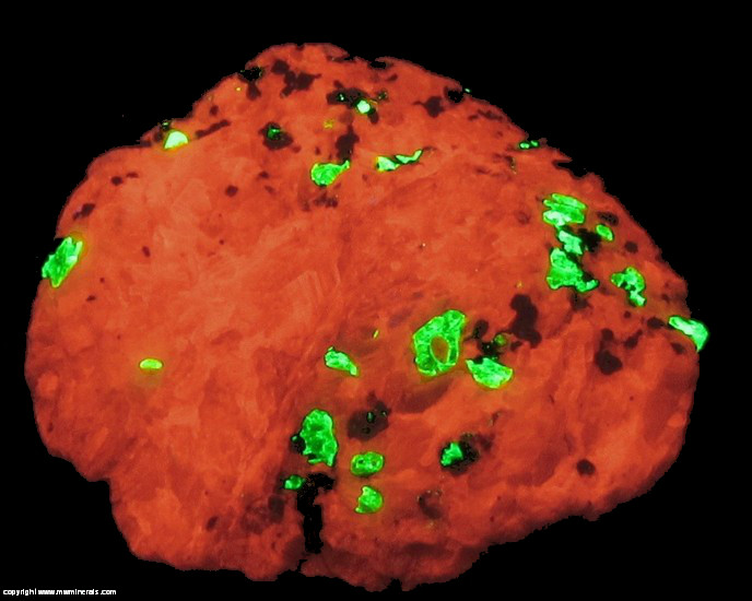 Fluorescent Mineral Specimen: Calcite, Willemite, Zincite, Franklinite (TL) from Frankin, Sussex Co., New Jersey