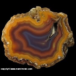 Mineral Specimen: Coyamito Agate from Rancho Coyamito, Sierra del Gallego, Municipio de Ahumada, Chihuahua, Mexico Mineral Specimen: Coyamito Agate from Rancho Coyamito, Sierra del Gallego, Municipio de Ahumada, Chihuahua, Mexico
