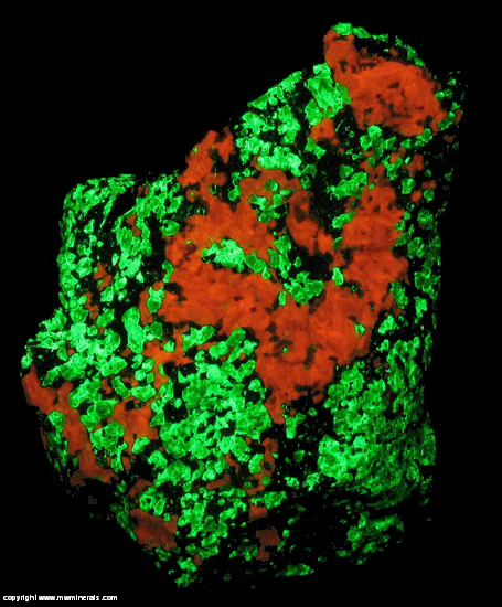 Fluorescent Mineral Specimen: Willemite, Calcite, Zincite, Franklinite(TL) from Frankin, Sussex Co., New Jersey