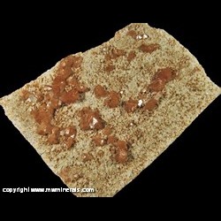 Mineral Specimen: Scheelite, Beryl variety: Goshenite, Quartz from Mount Little Xuebaoding, Pingwu Co., Mianyang, Sichuan, China labeld as Mount Xuebaoding, Songpan Co., Ngawa Auto. Pref., Sichuan, China