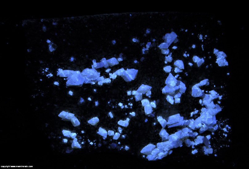 Fluorescent Mineral Specimen: Scheelite, Beryl variety: Goshenite, Quartz from Mount Little Xuebaoding, Pingwu Co., Mianyang, Sichuan, China labeld as Mount Xuebaoding, Songpan Co., Ngawa Auto. Pref., Sichuan, China