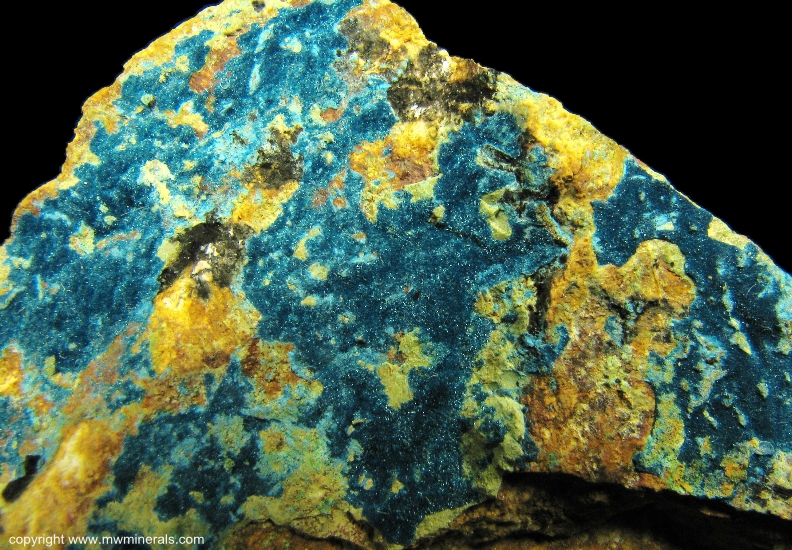 Mineral Specimen: Connelite from 150 foot level, Gold Hill Mine, Gold Hill, Deep Creek Mountains, Tooele County, Utah, USA