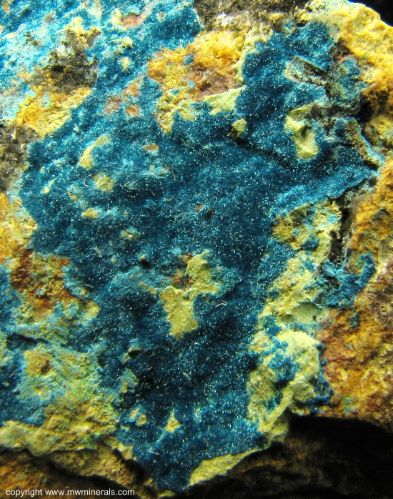 Mineral Specimen: Connelite from 150 foot level, Gold Hill Mine, Gold Hill, Deep Creek Mountains, Tooele County, Utah, USA
