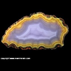 Mineral Specimen: Yellow and Purple Coyamito Agate from Rancho Coyamito, Sierra del Gallego, Municipio de Ahumada, Chihuahua, Mexico
