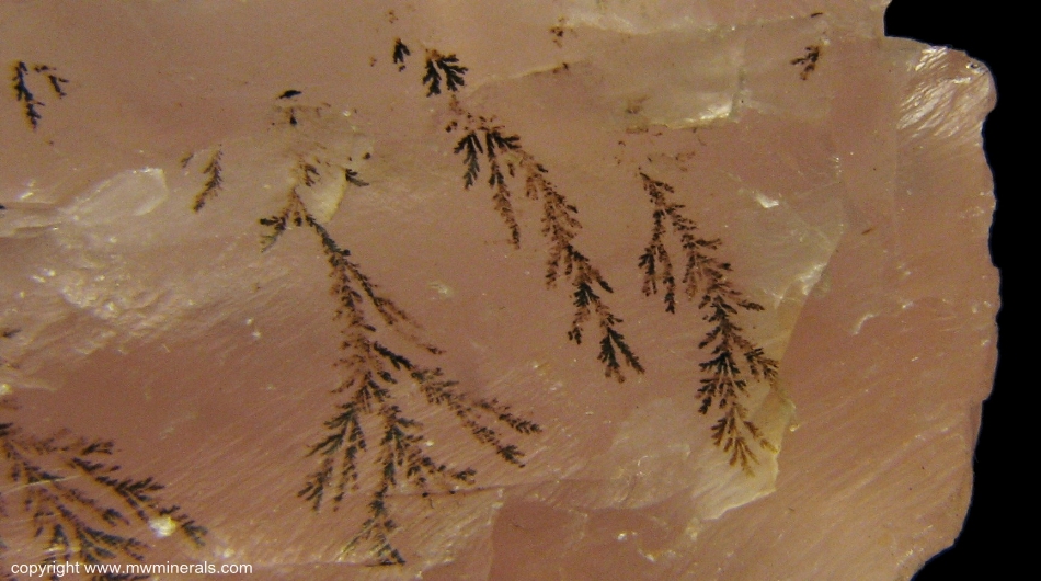 Mineral Specimen: Rose Quartz with Dendrites from Unknown Location