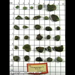 Mineral Specimen: 30 Waterworn Pumpellyite-(Mg)  pebbles variety: Chlorastrolite, aka Greenstone from Isle Royale, Keweenaw Co., Michigan