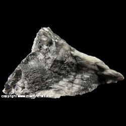 Mineral Specimen: Native Bismuth in Dolomite from Cobalt area, Cobalt-Gowganda region, Timiskaming District, Ontario, Canada