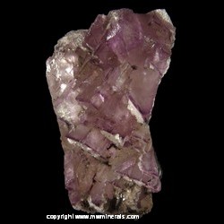 Mineral Specimen: Fluorite, Calcite from Rosiclare Mine, Rosiclare, Hardin Co., Illinois