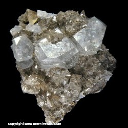 Mineral Specimen: Celestine, Calcite from Maybee, Monroe Co., Michigan