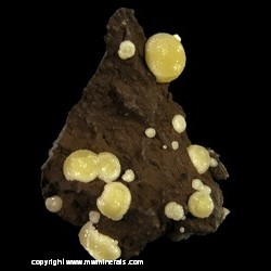 Mineral Specimen: Spherical Calcite from Campomorto Quarry, Pietra Massa Locality, Montalto di Castro, Viterbo Province, Lazio, Italy