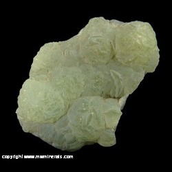 Minerals Specimen: Prehnite from Paterson, Passaic Co., New Jersey