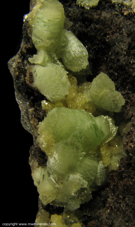 Mineral Specimen: Green Smithsonite Crystals from Berg Aukus, Grootfontein District, Otjozondjupa Region, Namibia