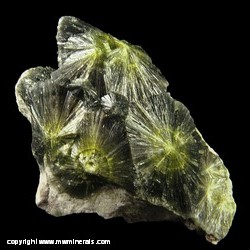 Minerals Specimen: Wavellite from Garland County, Arkansas